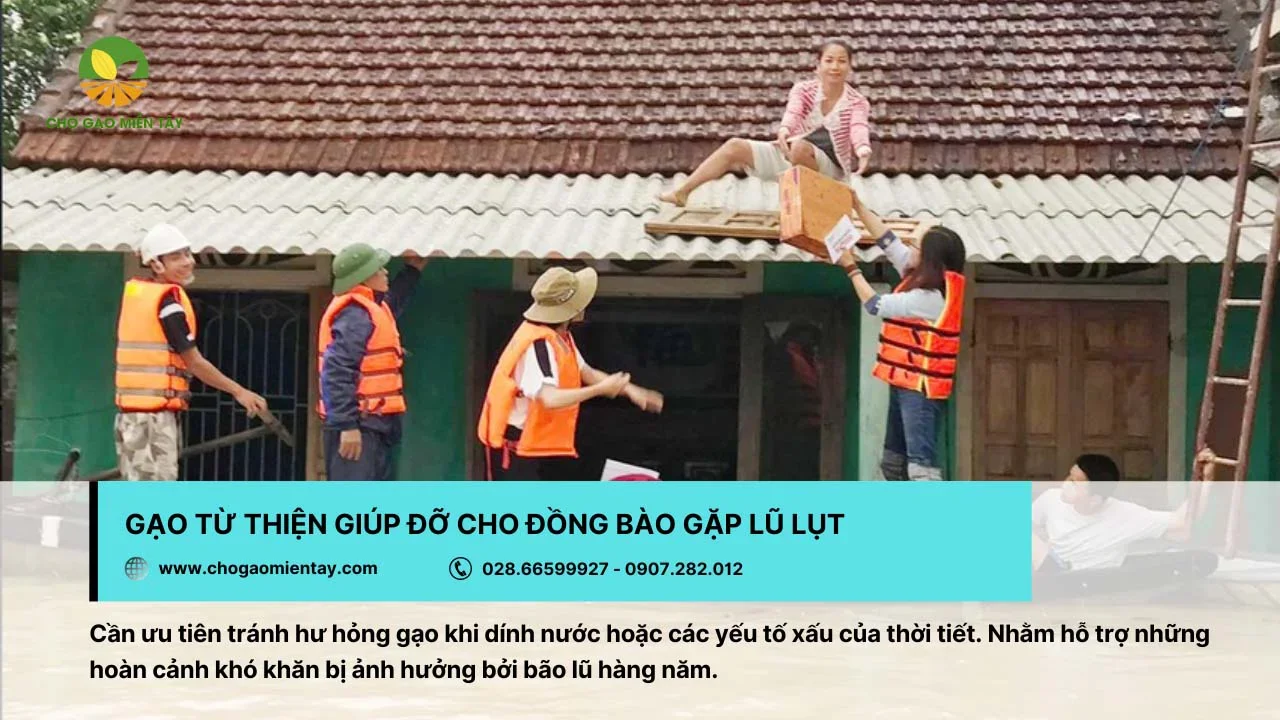 Gạo từ thiện chia sẻ yêu thương với đồng bào gặp lũ lụt