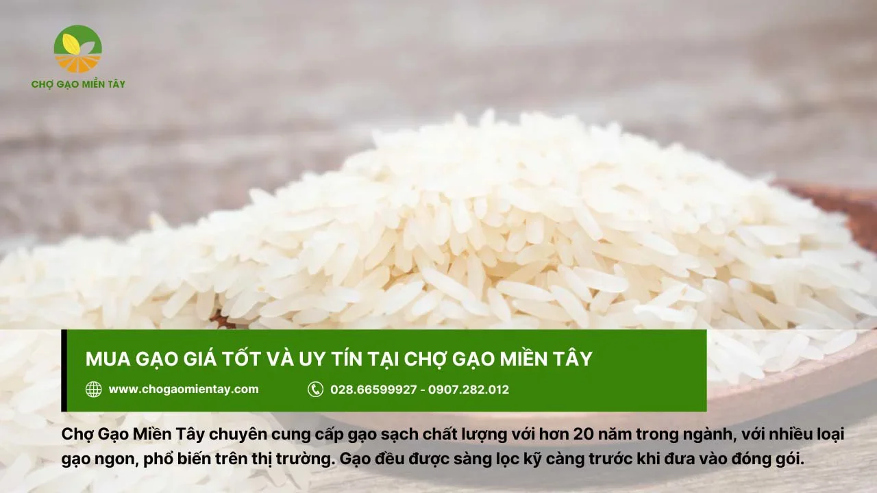 Mua gạo giá tốt, chất lượng tại Chợ Gạo Miền Tây