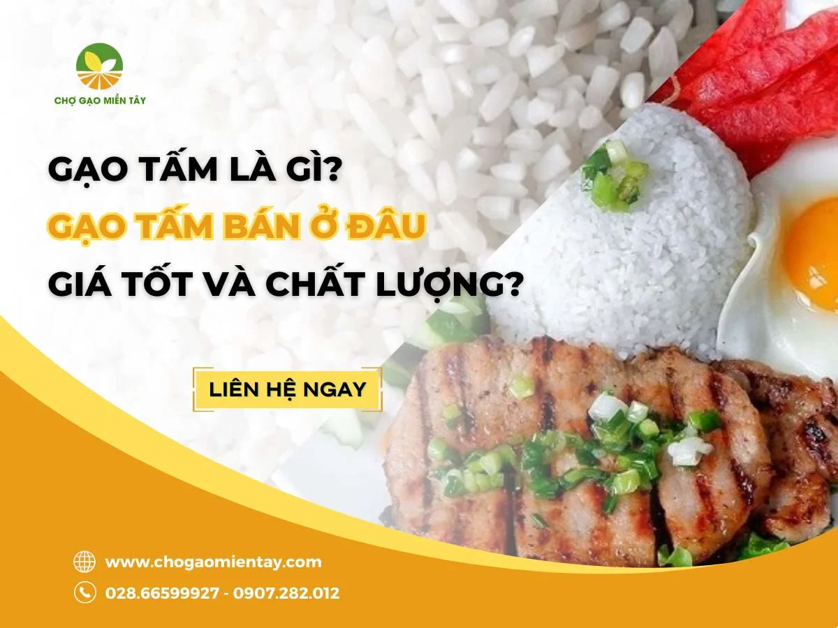 Gạo tấm là gì? Gạo tấm bán ở đâu giá tốt và chất lượng?
