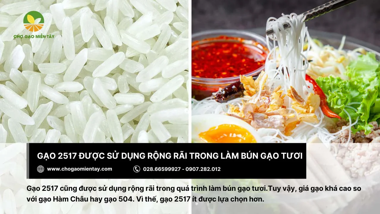 Gạo 2517 cũng được dùng trong quá trình làm bún