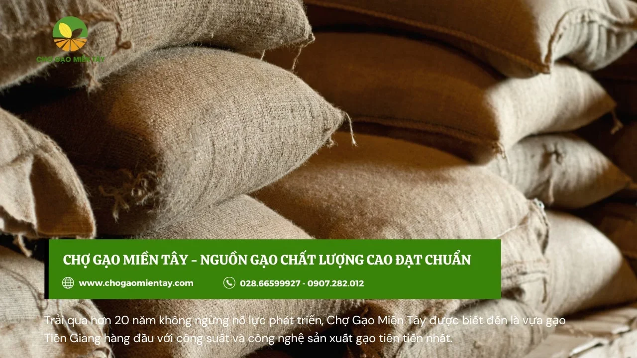 Nên nhập gạo giá rẻ để có lợi nhuận cao khi làm đại lý kinh doanh gạo