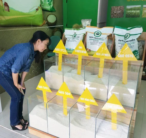 Định giá trong kinh doanh gạo