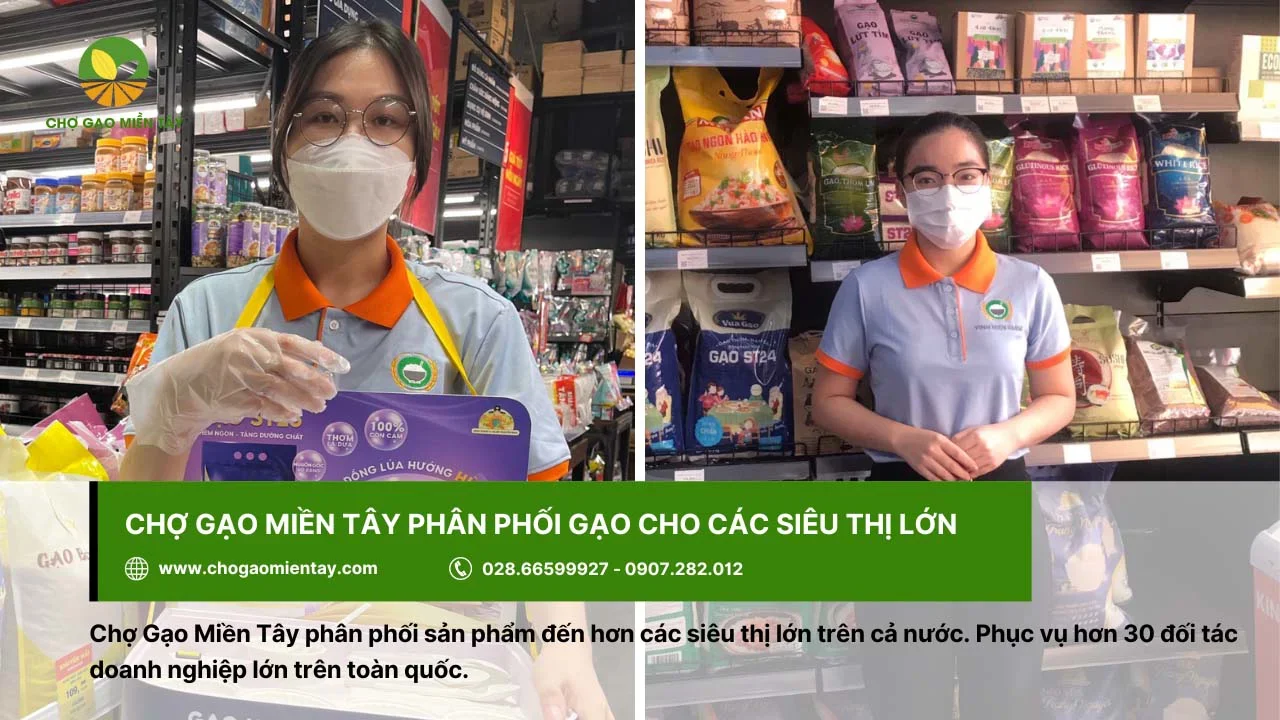Chợ Gạo Miền Tây phân phối sản phẩm gạo cho siêu thị lớn