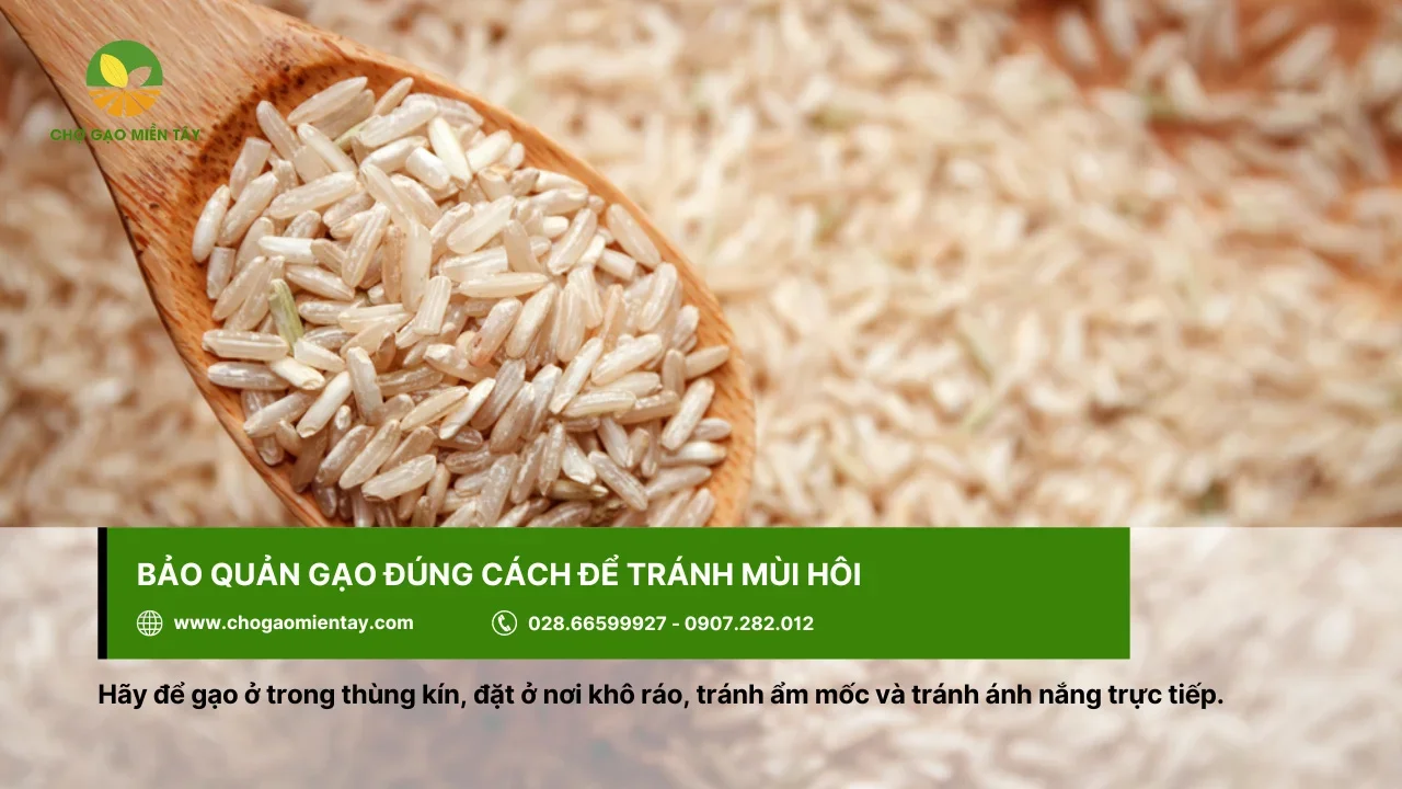 Bảo quản ở nơi khô ráo để tránh bị hôi, ẩm mốc