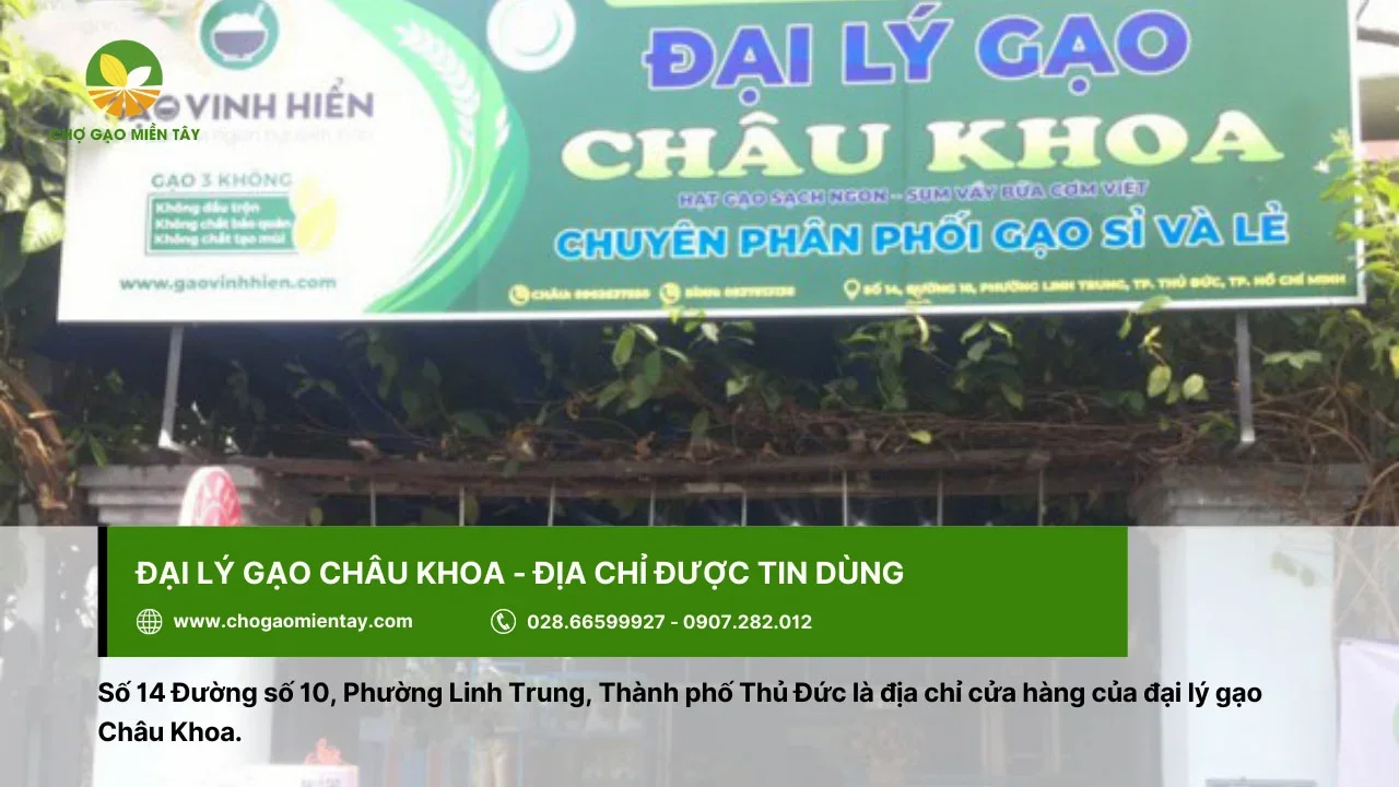 Đại lý gạo Châu Khoa được tin dùng ở Sài Gòn