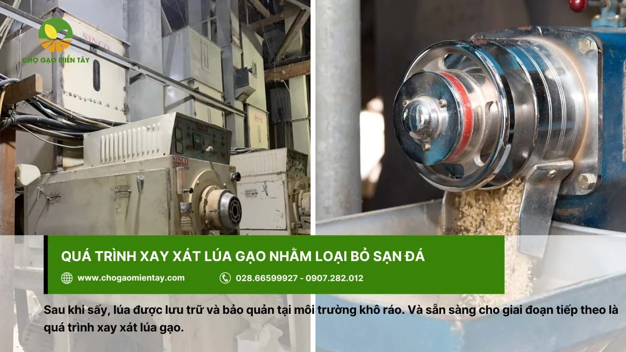 Quá trình xay xát lúa gạo để loại bỏ sạn đá