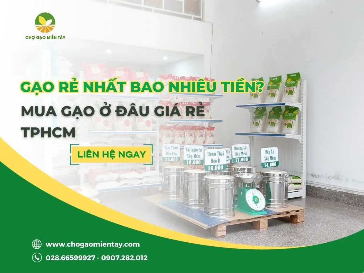 Gạo rẻ nhất bao nhiêu tiền? Mua gạo ở đâu giá rẻ TPHCM