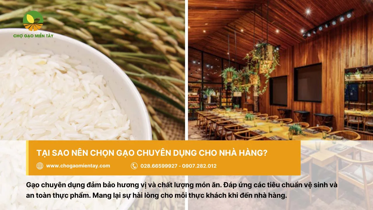 Nên chọn gạo chuyên dụng đảm bảo tốt cho hương vị của món ăn