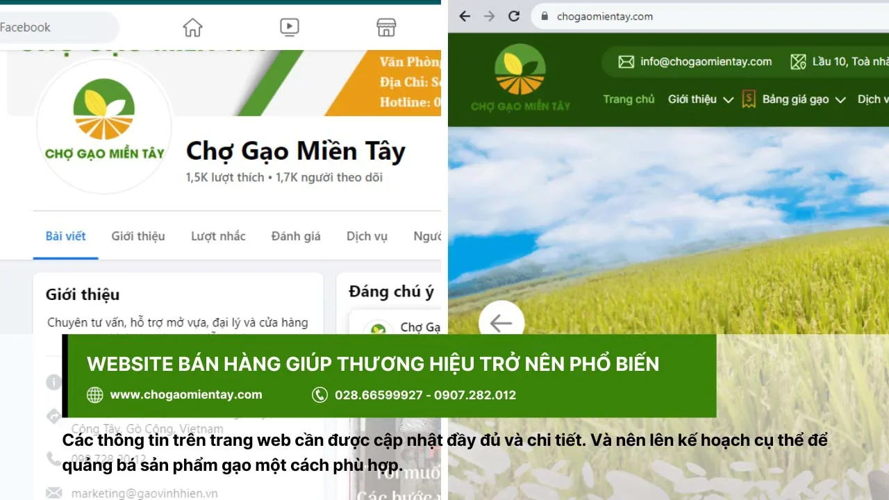 Xây dựng website bán hàng giúp kinh doanh gạo online tối ưu