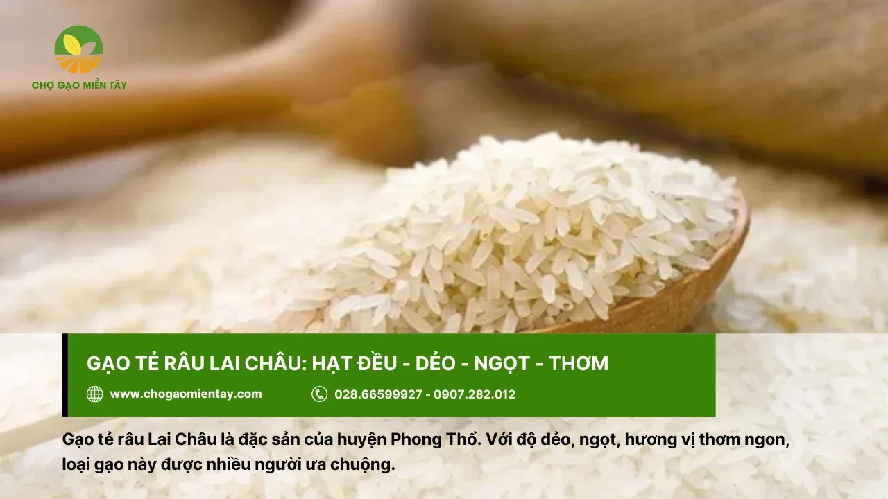 Gạo tẻ râu Lai Châu với độ ngọt, dẻo, thơm khi nấu