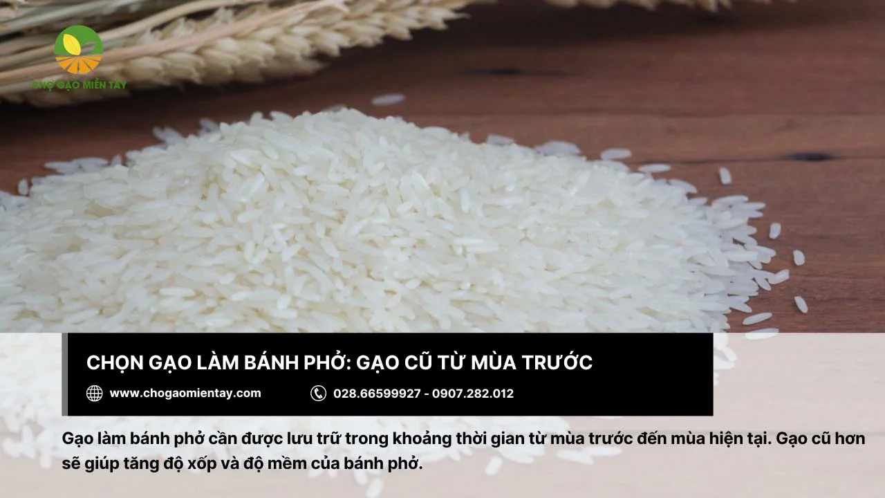 Gạo càng cũ sẽ càng tăng cường độ xốp làm cho bánh phở mềm hơn
