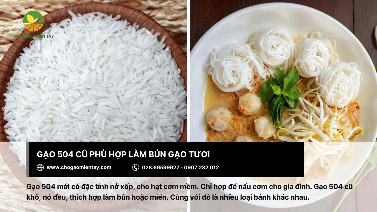 Gạo 504 cũ thích hợp để làm bún tươi ngon