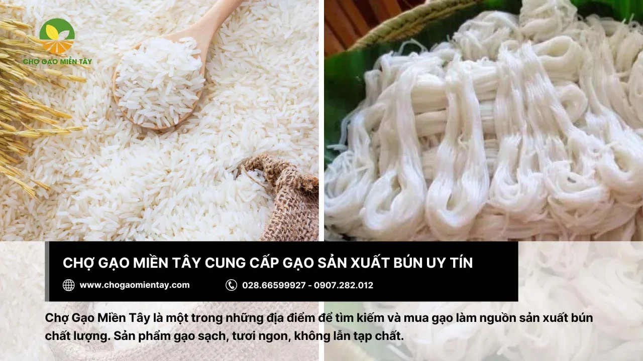 Chợ Gạo Miền Tây cung cấp gạo sản xuất bún ngon, chất lượng