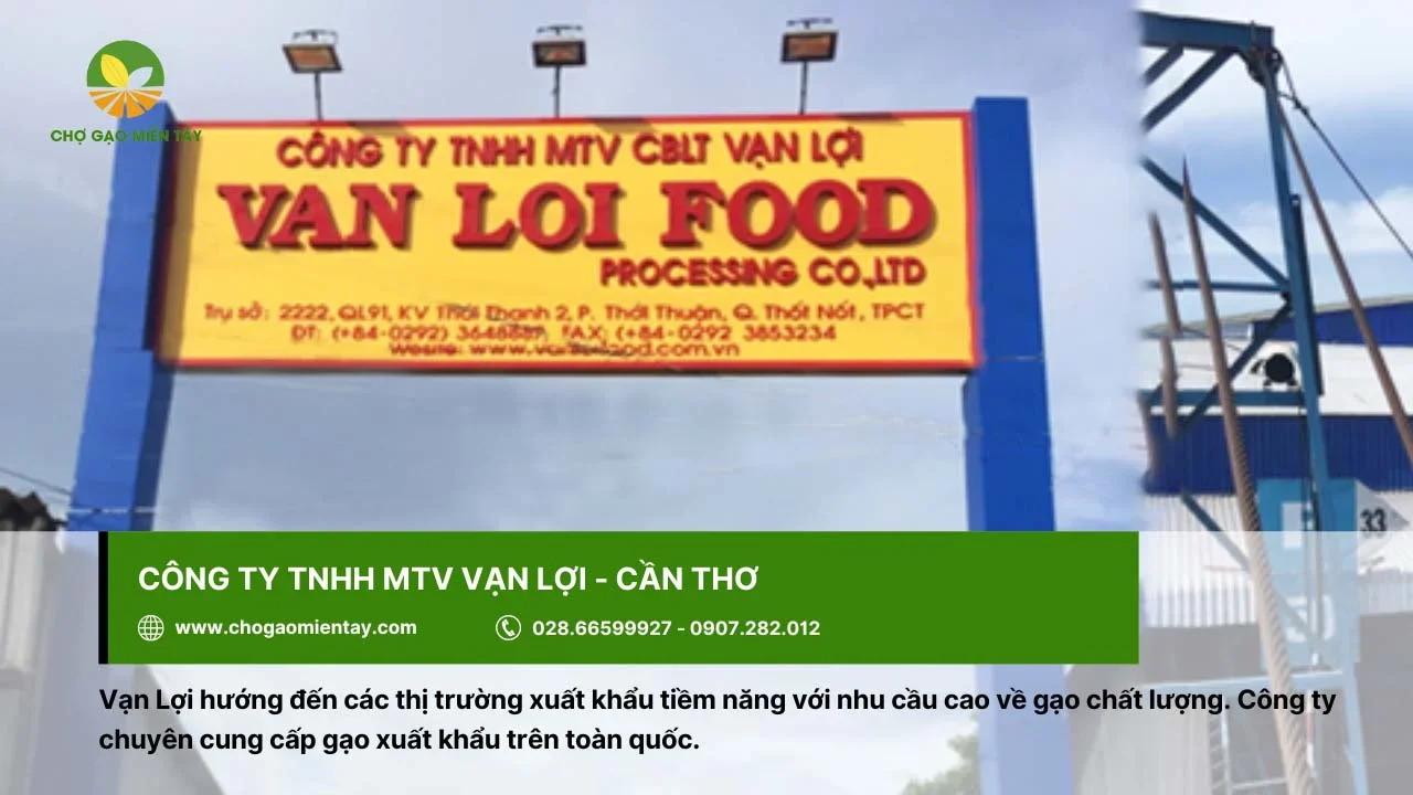 Công ty Vạn Lợi tại Cần Thơ chuyên cung cấp gạo xuất khẩu trên toàn quốc