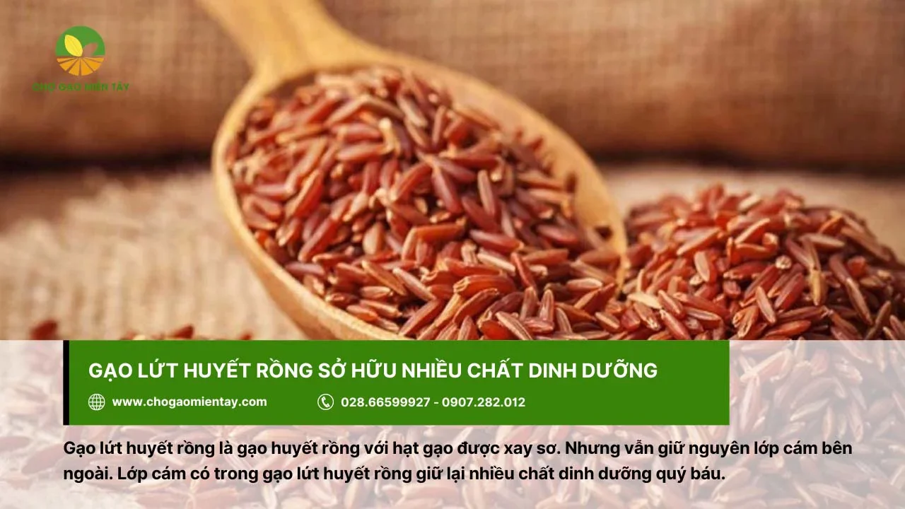 Gạo lứt huyết rồng chứa nhiều chất dinh dưỡng