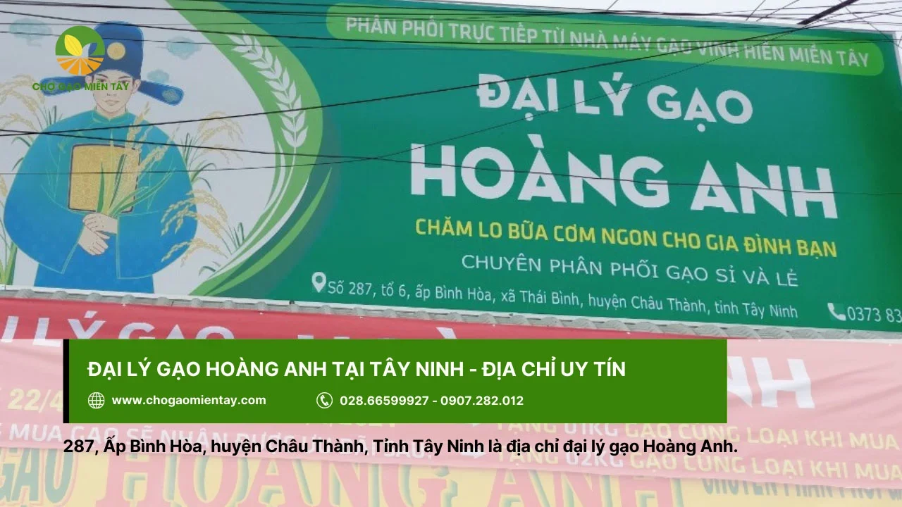 Mua gạo ở Tây Ninh - hãy đến đại lý Hoàng Anh