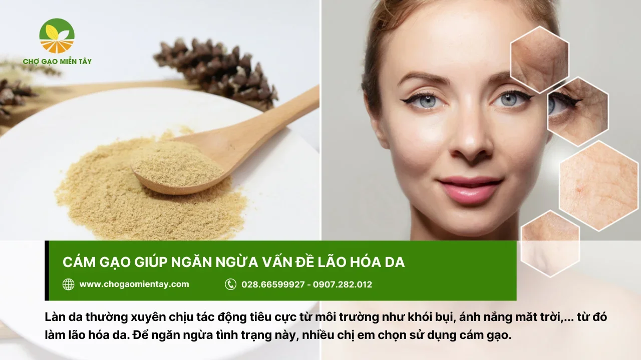 Dùng cám gạo để ngăn ngừa tình trạng lão hóa ở da