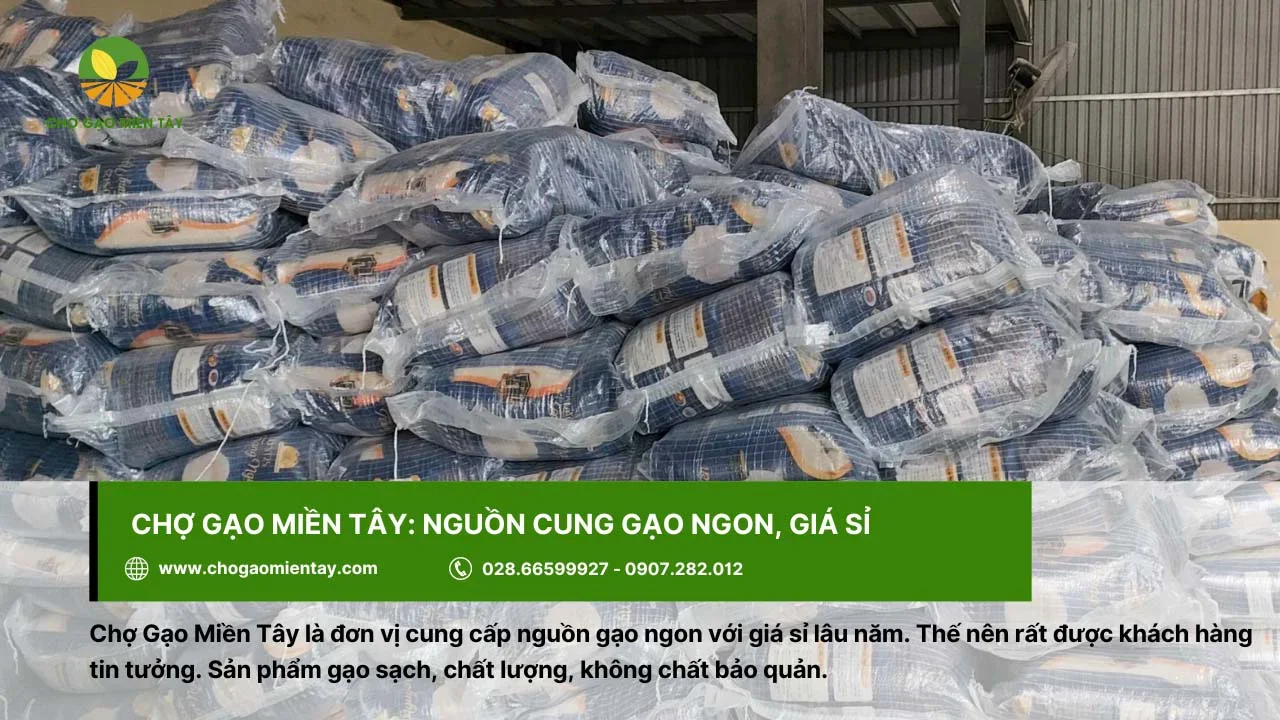 Chợ Gạo Miền Tây cung cấp gạo ngon với giá sỉ
