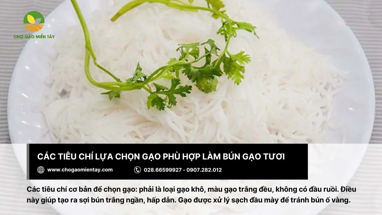 Nên chọn gạo khô, màu trắng đều để làm bún