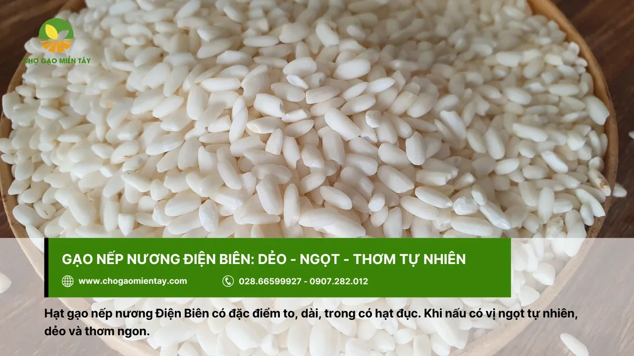 Gạo nếp nương Điện Biên thơm ngon