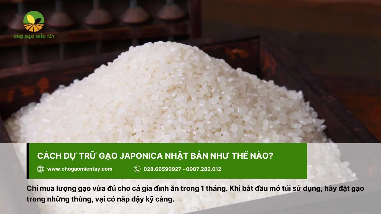 Nên mua gạo Japonica vừa đủ ăn 1 tháng cho các thành viên trong gia đình