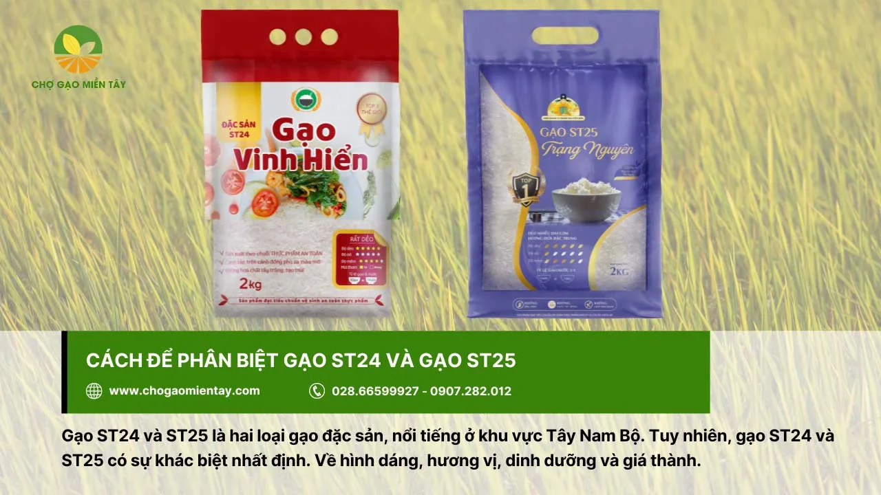 Phân biệt gạo ST24 và gạo ST25