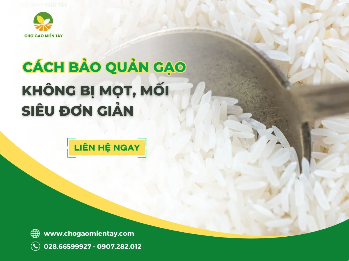 Tiết Lộ Cách Bảo Quản Cơm Gạo Lứt Đúng Cách Để Cả Tuần Vẫn Dẻo Ngon
