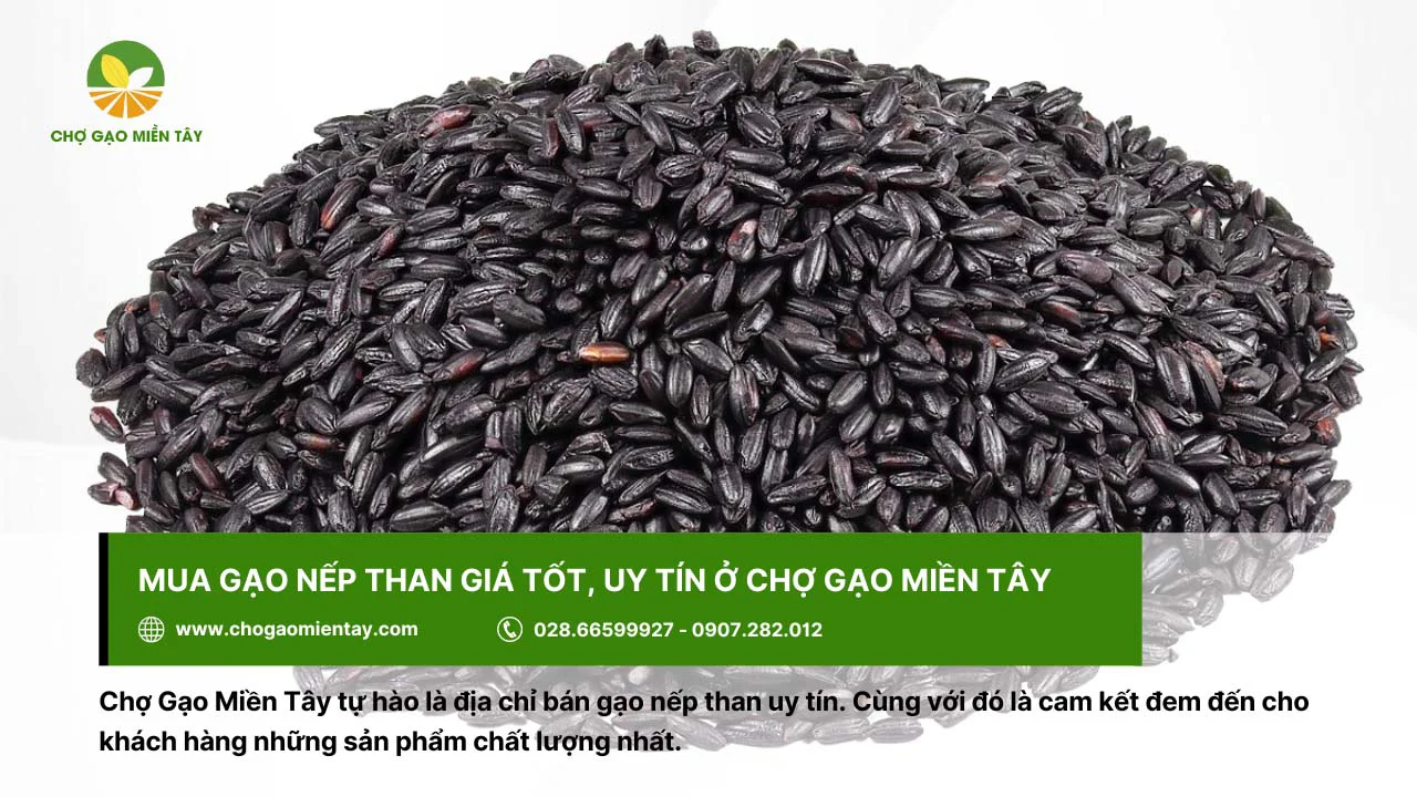 Mua gạo ở Chợ Gạo Miền Tây uy tín với giá thành hấp dẫn