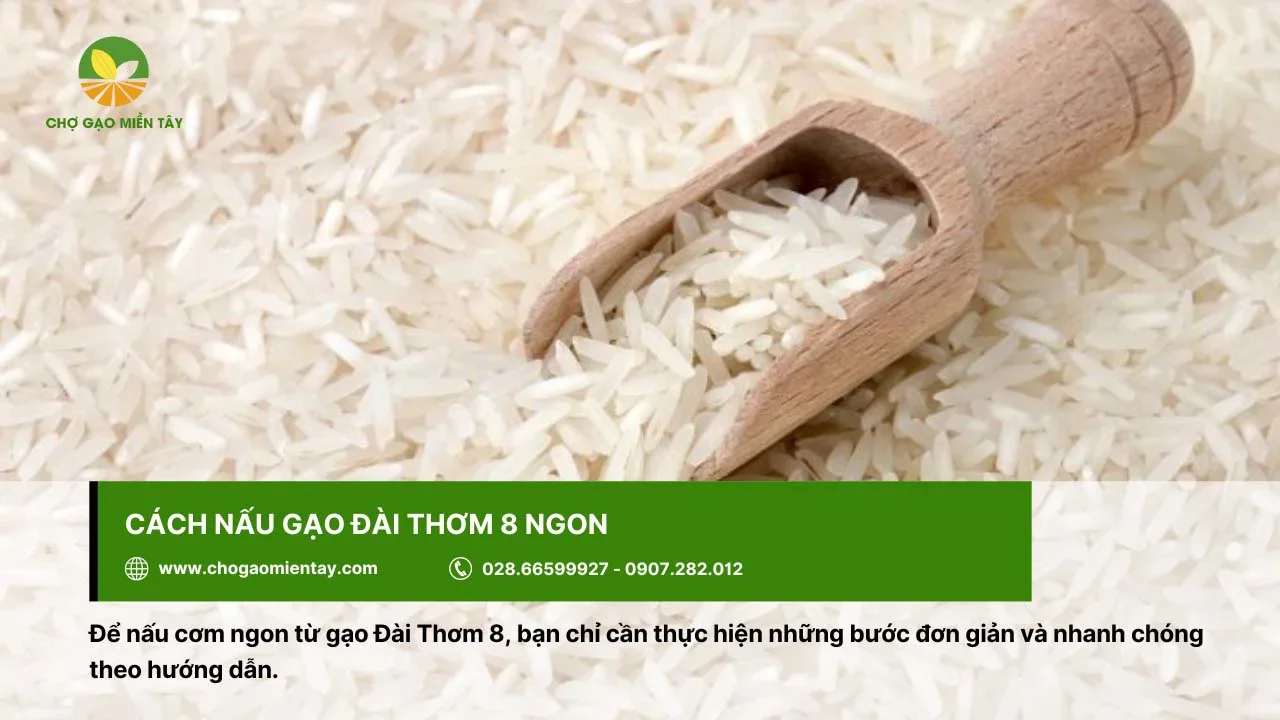 Gạo Đài Thơm 8 được nhà hàng, khách sạn ưa chuộng bởi tính mềm dẻo