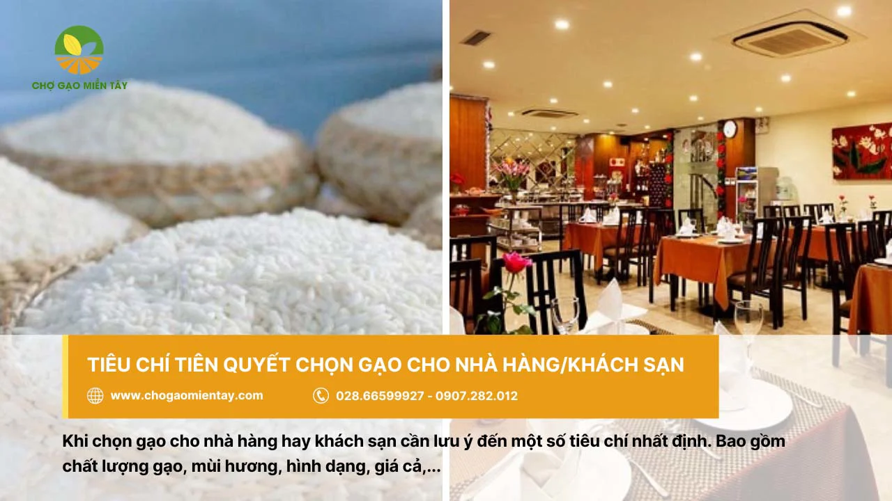Chọn gạo nhà hàng/khách sạn cần dựa trên nhiều tiêu chí khác nhau