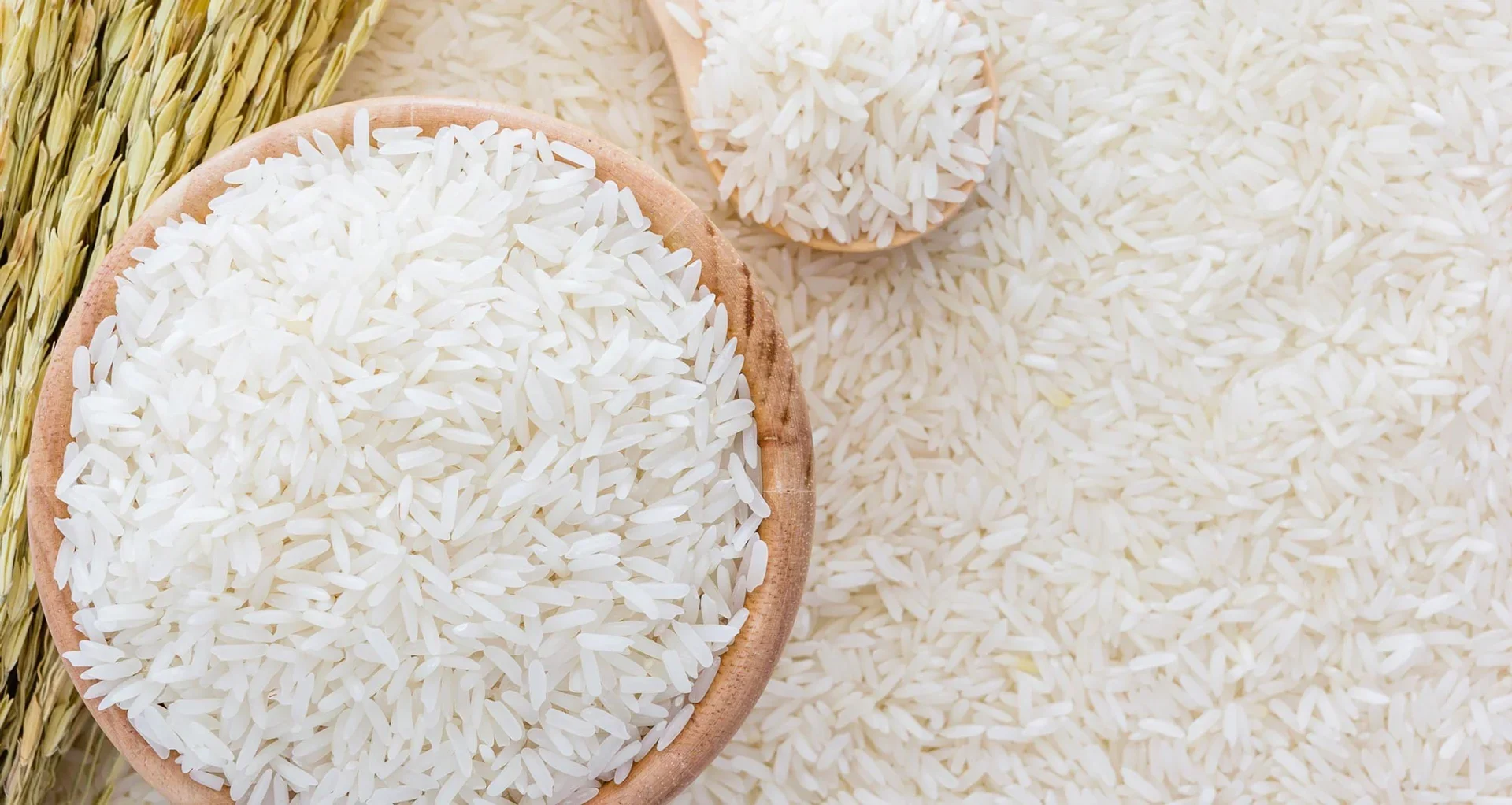 Công ty An Khang - Đại Lý Gạo Hà Nội Ngon Giá Rẻ