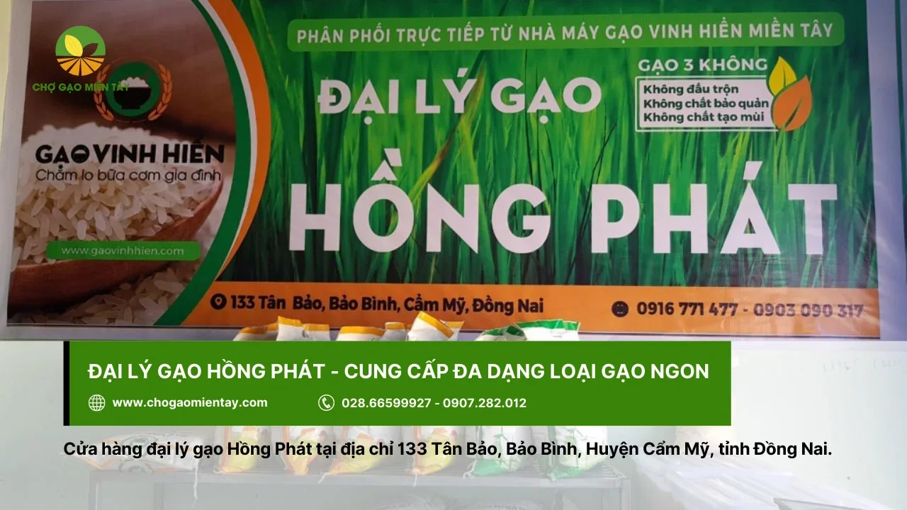 Gạo Hồng Phát là đại lý cung cấp nhiều dòng gạo thơm ngon, hấp dẫn