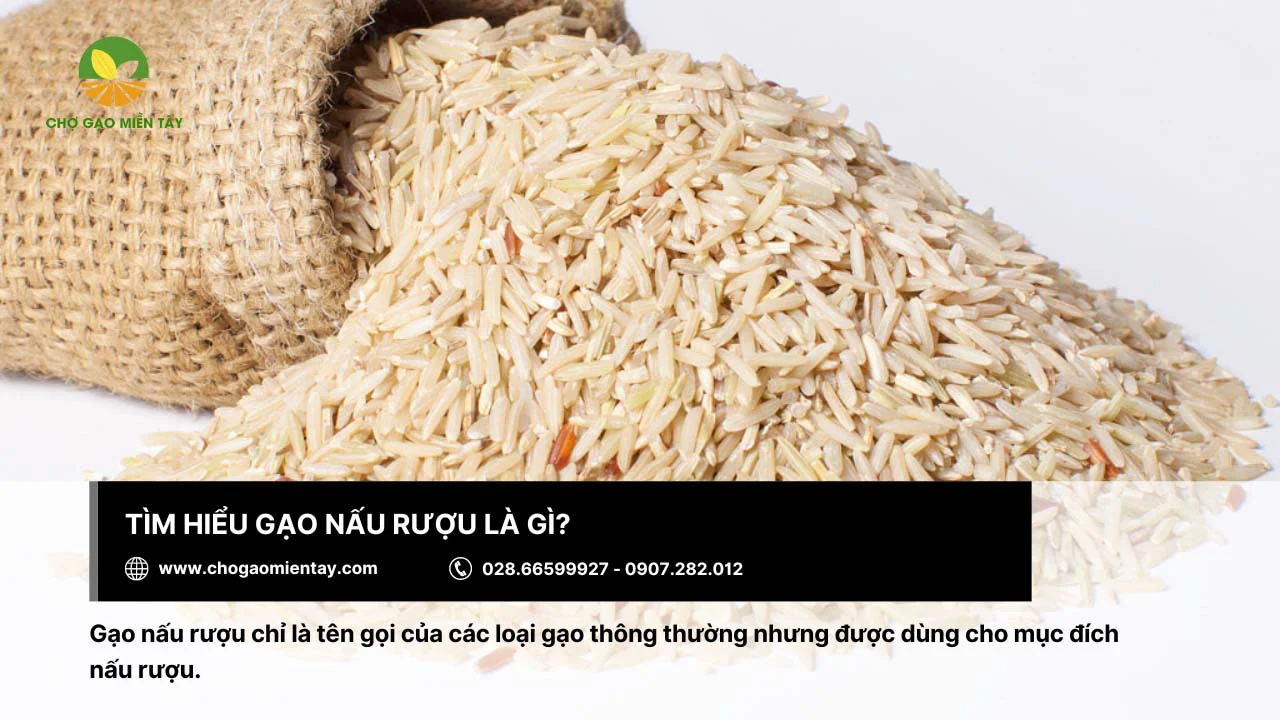 Gạo nấu rượu là gạo chuyên dành cho mục đích nấu rượu