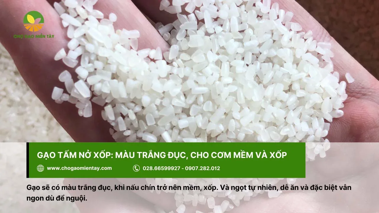Gạo tấm nở xốp cho cơm ngon, mềm
