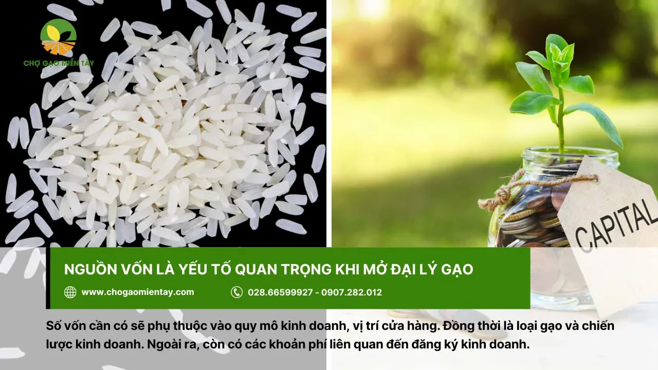 Nguồn vốn là yếu tố quan trọng khi mở đại lý gạo cấp 1