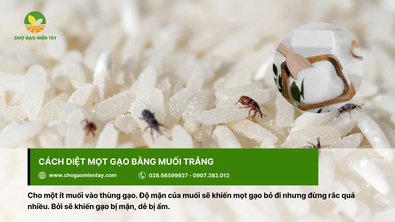 Xua đuổi mọt gạo bằng muối trắng