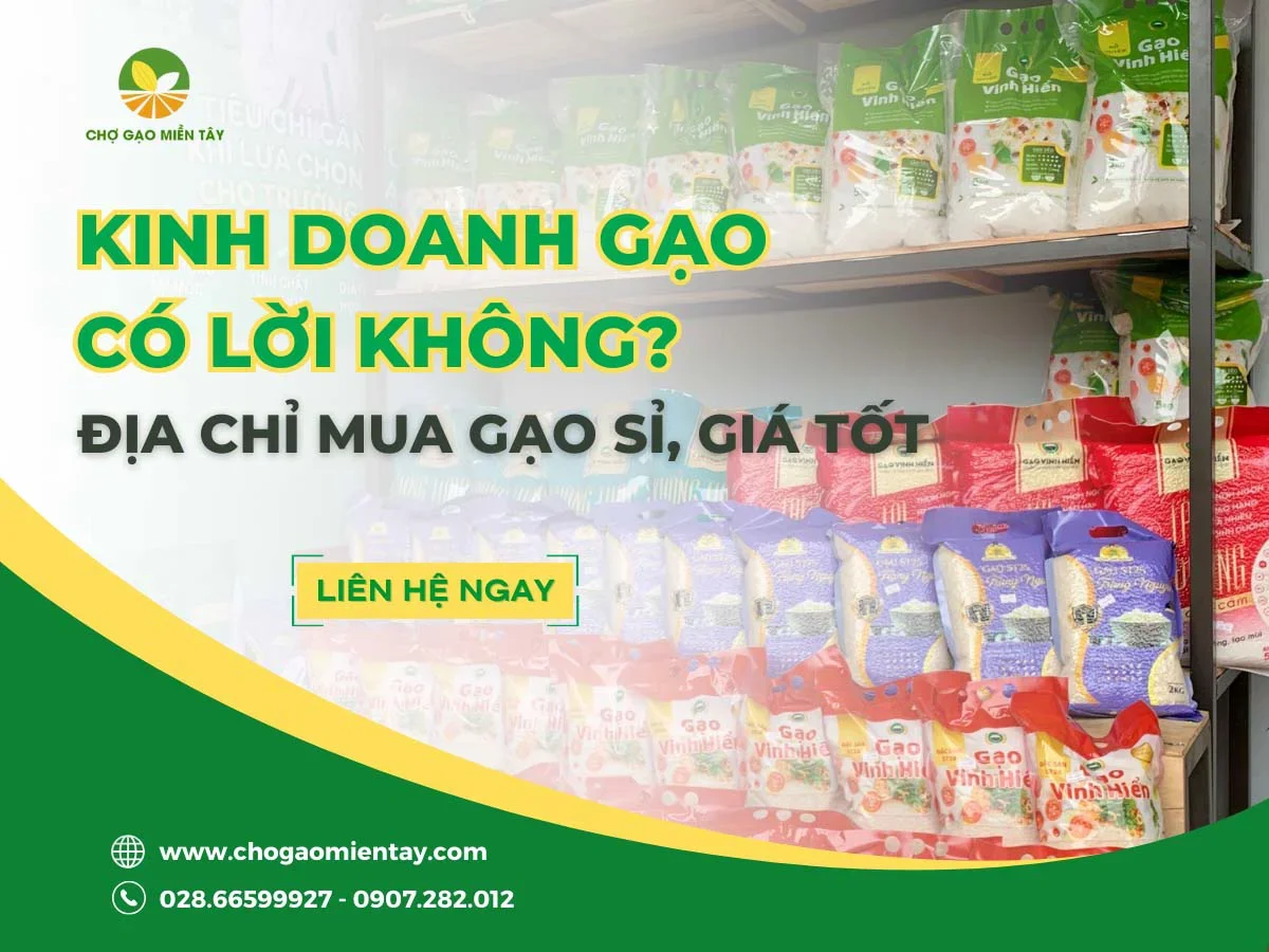 Kinh doanh gạo có lời không? Chợ Gạo Miền Tây cung cấp gạo sỉ, giá tốt