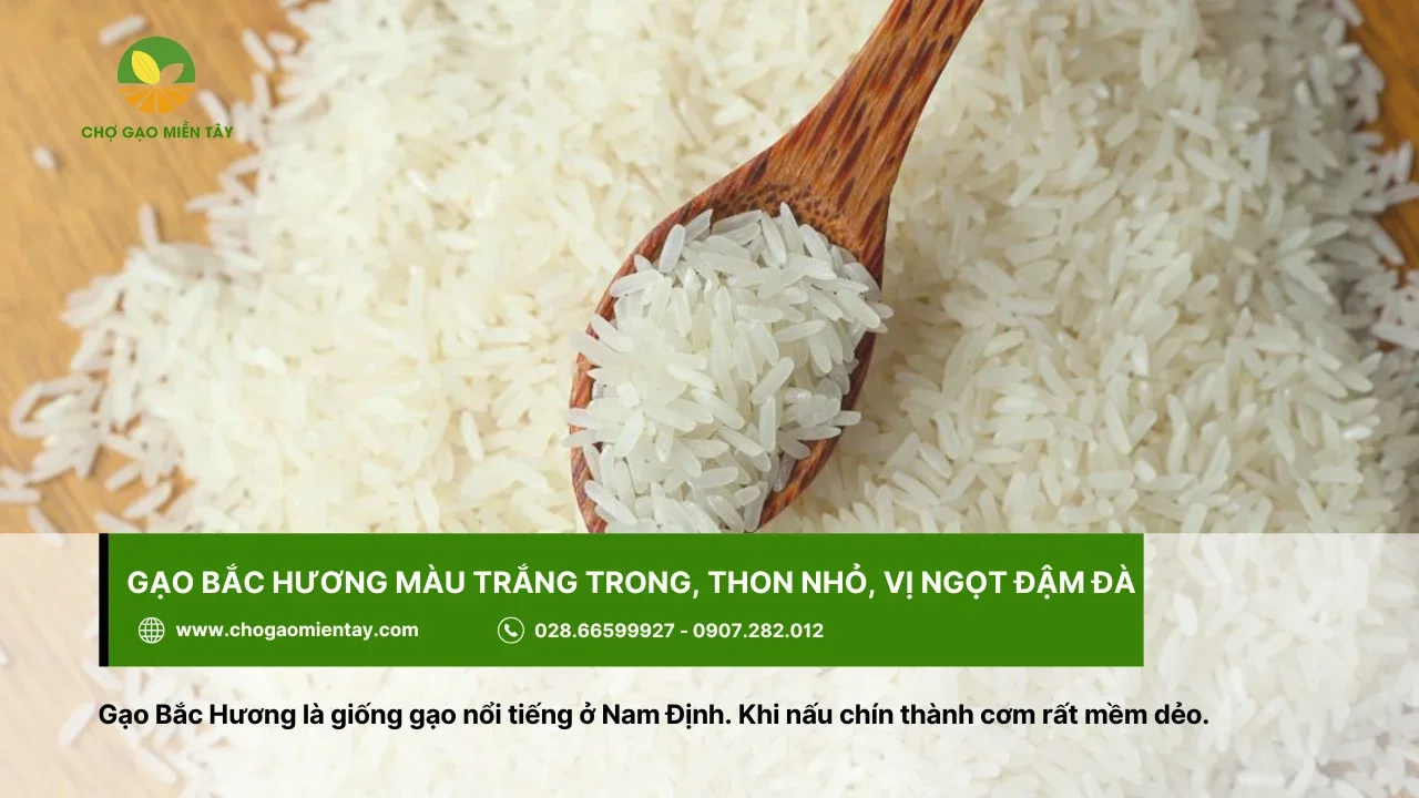Top 10 các loại gạo ngon nhất Việt Nam được ưa chuộng 8 Gạo thơm Bắc Hương được trồng nhiều ở Nam Định
