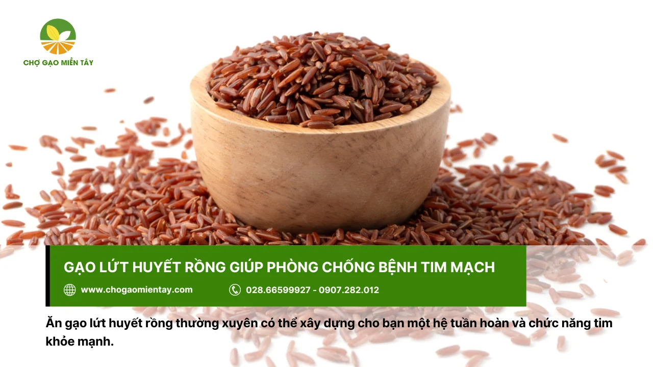 Gạo lứt huyết rồng hỗ trợ nhuận tràng, ngừa bệnh tim mạch