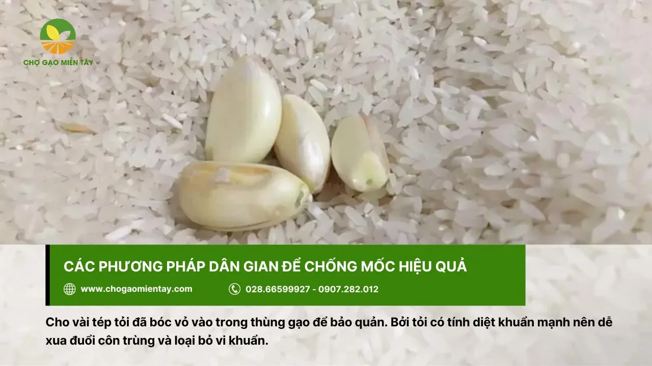 Chống gạo mốc bằng tỏi