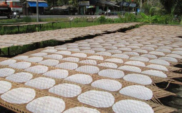 Chọn gạo làm bánh tráng (Nguồn: Internet)