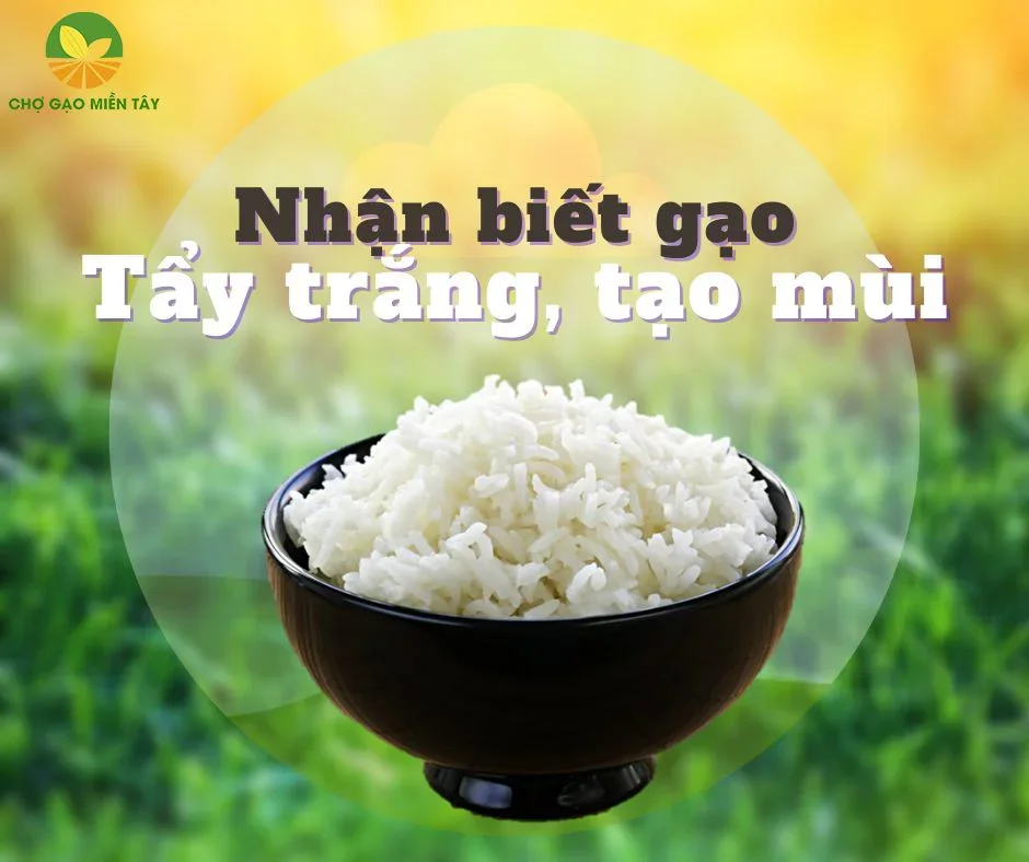 nhận biết gạo tẩy trắng tạo mùi