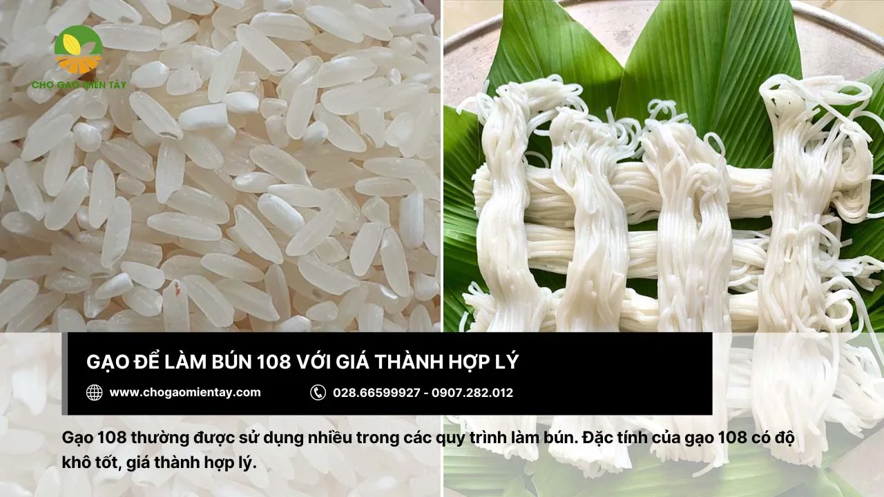 Gạo 108 được nhiều người chọn làm bún vì có giá cả hợp lý