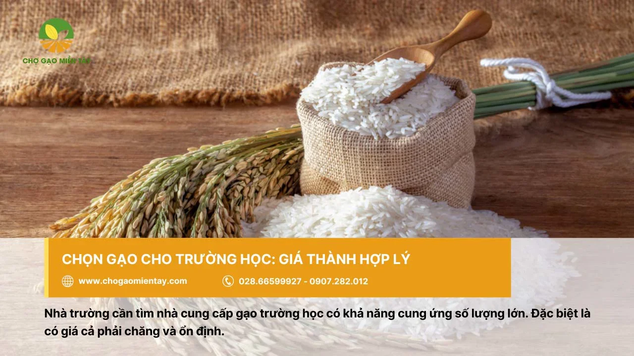 Chọn nơi cung cấp gạo cho trường học với giá hợp lý và ổn định