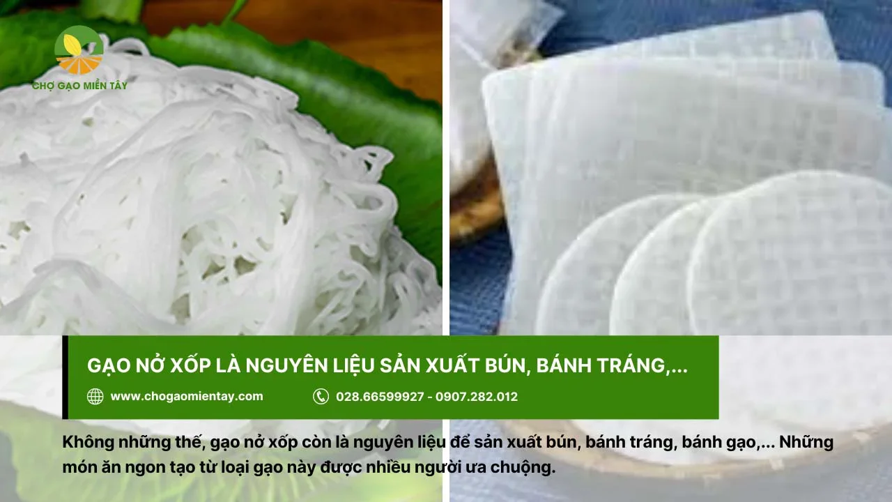 Gạo nở xốp là nguyên liệu để sản xuất bún, bánh tráng thơm ngon