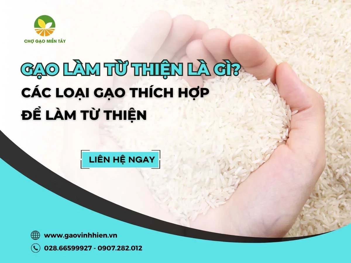 Gạo làm từ thiện là gì? Nguồn mua gạo làm từ thiện giá sỉ uy tín