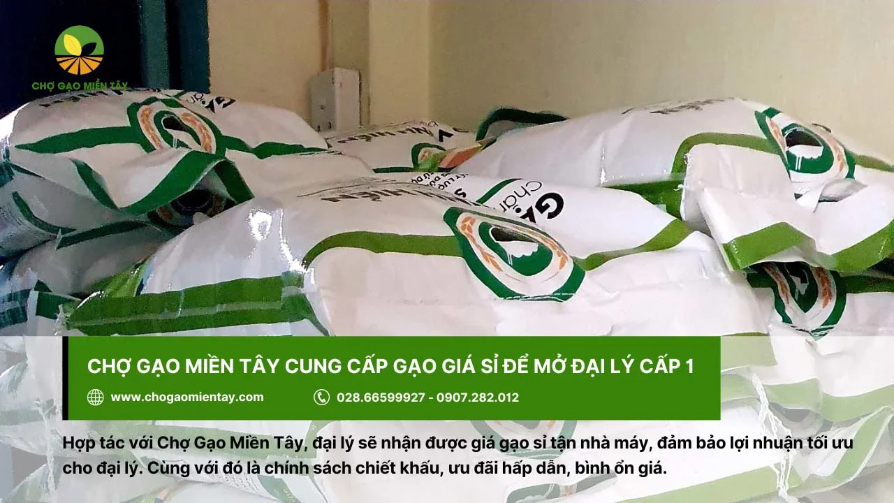 Chợ Gạo Miền Tây cung cấp gạo giá sỉ bình ổn để mở đại lý cấp 1