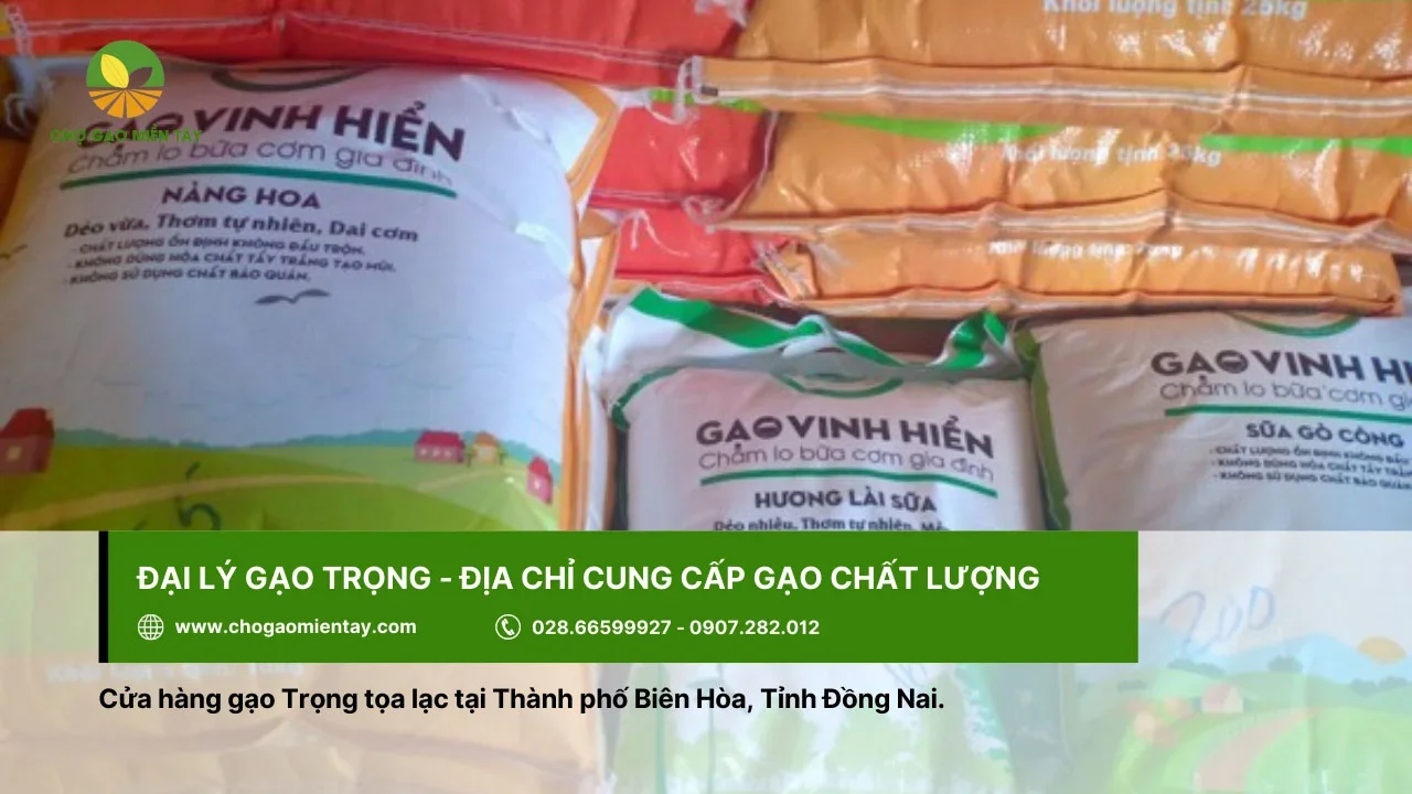 Gạo Trung cung cấp nguồn gạo chất lượng cho người tiêu dùng