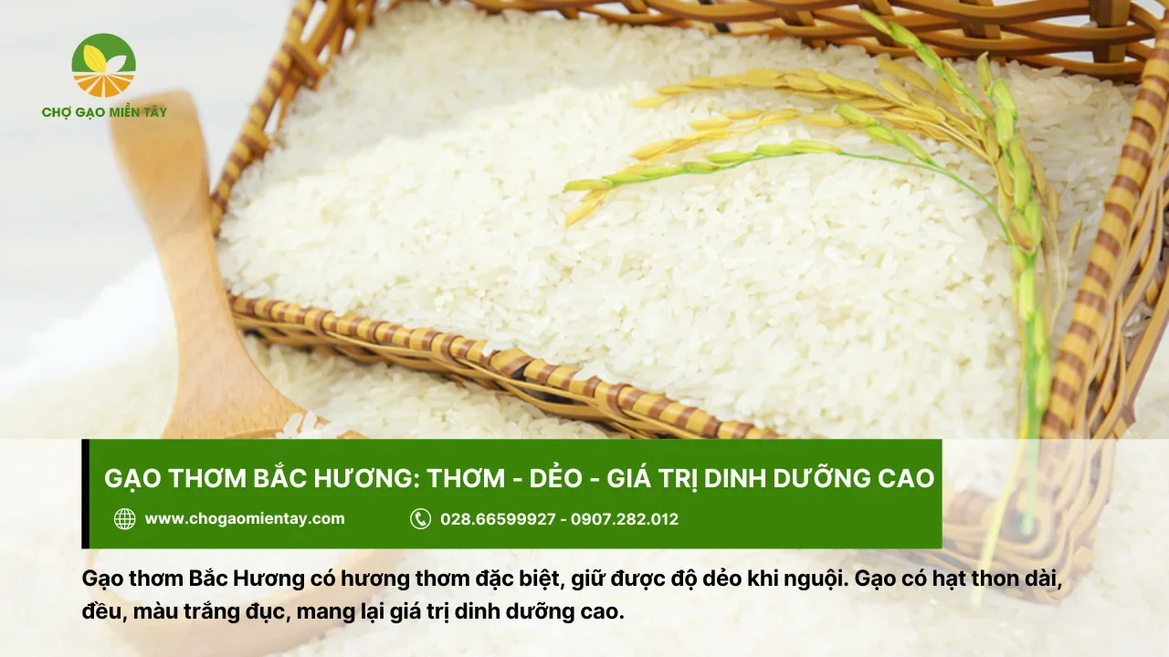Top 10 các loại gạo ngon nhất Việt Nam được ưa chuộng 9 Gạo thơm Bắc Hương giữ được độ dẻo của cơm, kể cả khi nguội