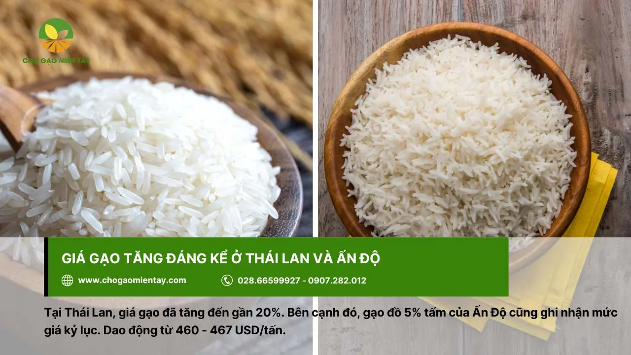 Thái Lan và Ấn Độ đều có giá gạo tăng so với trước đó